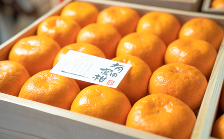 高級 有田みかん 木箱姫 32個入 秀品 M・Lサイズ