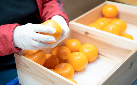 高級 有田みかん 木箱姫 32個入 秀品 M・Lサイズ