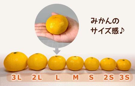 訳あり 極早生 箱込 10kg (内容量約 9.2kg) サイズミックス 有田みかん 和歌山県産 【みかんの会】［2026年10月上旬頃より順次発送予定］