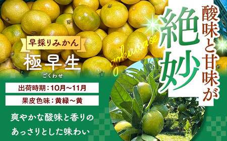 みかん 極早生 山から直送 箱込 2.5kg (内容量約 2.3kg) 採れたてそのままごろごろ規格 有田みかん 和歌山県産 【みかんの会】［2026年10月上旬頃より順次発送予定］