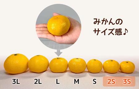 小玉みかん 極早生 箱込 2.5kg (内容量約 2.3kg)3S～Sサイズ混合 秀品 優品 混合 有田みかん 和歌山県産