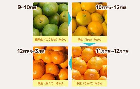 小玉みかん 極早生 箱込 2.5kg (内容量約 2.3kg)3S～Sサイズ混合 秀品 優品 混合 有田みかん 和歌山県産