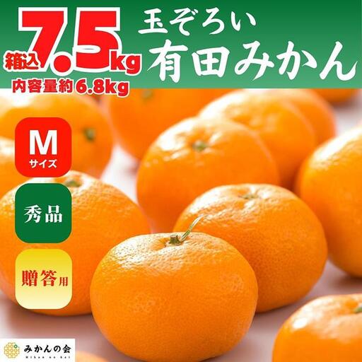 みかん Ｍサイズ 秀品 箱込 7.5kg (内容量約 6.8kg) 有田みかん 和歌山県産 産地直送 贈答用 ［2025年11月中旬より順次出荷予定］［みかんの会］