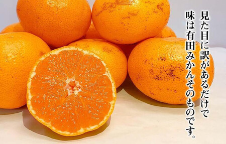 訳あり それでも 有田みかん 箱込 5kg (内容量約 4.4kg)  サイズミックス B品 有田みかん 和歌山県産 産地直送 家庭用［2025年11月中旬より順次出荷予定］［みかんの会］