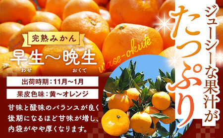 有田みかん 訳あり みかん 約4.4kg 和歌山県産