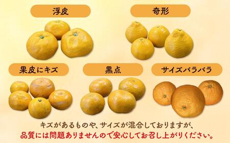 有田みかん 訳あり みかん 約9.2kg 和歌山県産