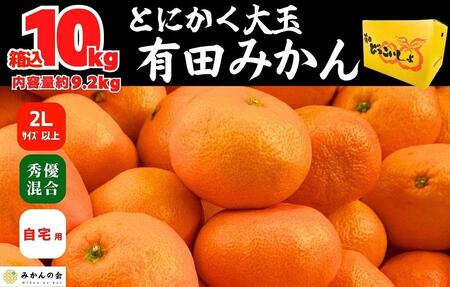 みかん 大玉 どっこいしょ 箱込 10kg ( 内容量約 9.2kg ) 2Lサイズ以上 秀品 優品 混合 有田みかん 和歌山県産 産地直送 家庭用［2025年11月中旬より順次出荷予定］［みかんの会］