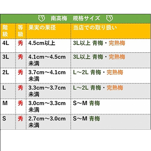 手もぎ 完熟南高梅 5kg L~2Lサイズ 谷本農園