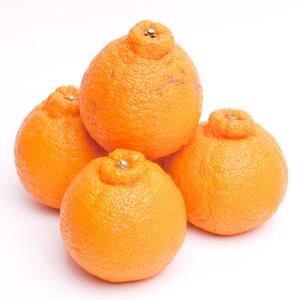 ［先行予約］厳選 不知火2.5kg+250g（傷み補償分）［デコポンと同品種・人気の春みかん］