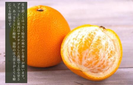 八朔 (はっさく) とにかく 小玉 箱込 5kg(内容量約 4.4kg) 秀品 優品 混合 Sサイズ以下 和歌山県産  産地直送［おまけ付き］［みかんの会］