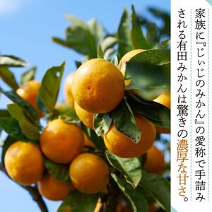 本場有田みかん じぃじのみかん10kg
