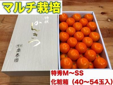 定期便 先行受付 2026年 10月発送スタート 有田みかん 食べくらべ 3種 化粧箱 各約 3kg 全3回 南泰園
