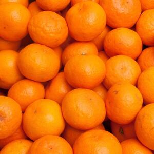 プレミアム 有田みかん(完熟)5kg+250g(傷み補償分)