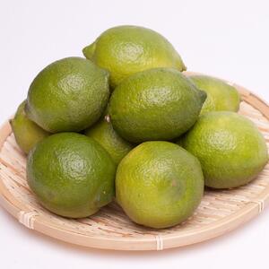 ［先行予約］レモン1kg+250g（傷み補償分）［和歌山有田産］［防腐剤・WAX不使用、安心の国産レモン］