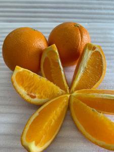 完熟ネーブルオレンジ 赤秀品 5kg(М・L・2L/サイズ指定不可)