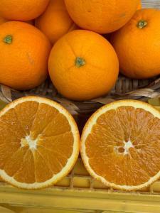 完熟ネーブルオレンジ 赤秀品 5kg(М・L・2L/サイズ指定不可)