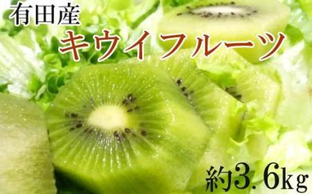 【人気】有田産キウイフルーツ約3.6kg（サイズおまかせ）★2025年１月下旬頃より順次発送