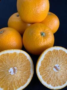 はっさく 赤秀品 約5kg(3L・2L/サイズ指定不可)