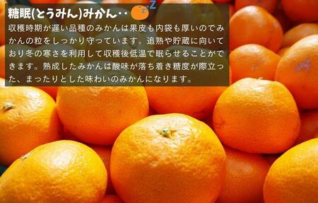 熟成 みかん とにかく 大玉 箱込5kg ( 内容量 4.4kg )2Lサイズ以上 秀品 優品 混合 有田みかん 和歌山産 産地直送 家庭用【みかんの会】