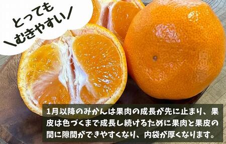 熟成 みかん とにかく 大玉 箱込5kg ( 内容量 4.4kg )2Lサイズ以上 秀品 優品 混合 有田みかん 和歌山産 産地直送 家庭用【みかんの会】