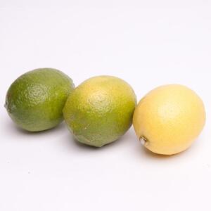 ［先行予約］わけあり レモン1.5kg+250g（傷み補償分）［和歌山有田産］［防腐剤・WAX不使用、安心の国産レモン］［わけあり・訳ありレモン］