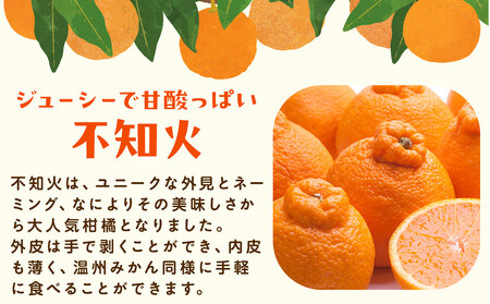 ［先行予約］厳選 不知火1kg+250g（傷み補償分）［デコポンと同品種・人気の春みかん］