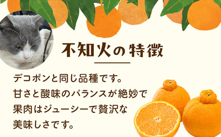 不知火 家庭用 1kg+250g 不知火（傷み補償分）訳あり