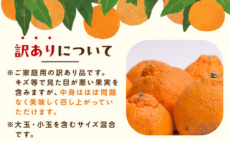 不知火 家庭用 1kg+250g 不知火（傷み補償分）訳あり