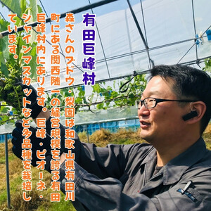 有田の 樹上 成熟 梨 農家直送 南水 梨 約2kg［2026年・先行予約］