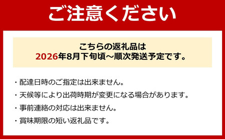 巨峰、豊水梨　詰め合わせ　約2kg箱