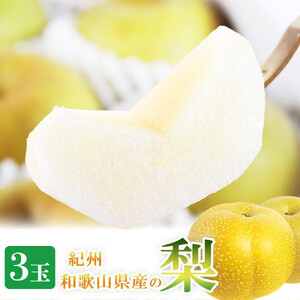 【8・9・12月 全3回】紀州産 巨峰とフルーツ定期便B(巨峰・梨・みかん) 【魚鶴商店】