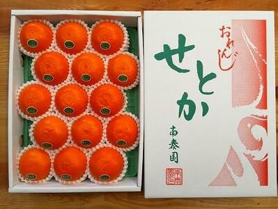 化粧箱 柑橘の大トロ ハウス せとか 厳選 15玉入 高級せとか 小玉 ハウス 温室 化粧箱入り 甘い オレンジ 有田産 和歌山産