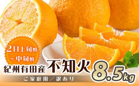 ［魚鶴商店厳選］和歌山人気の柑橘ご家庭用・訳あり定期便（みかん・不知火・清見オレンジ）［定期便全3回］［UT117w］