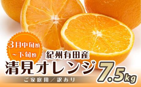 ［魚鶴商店厳選］和歌山人気の柑橘ご家庭用・訳あり定期便（みかん・不知火・清見オレンジ）［定期便全3回］［UT117w］