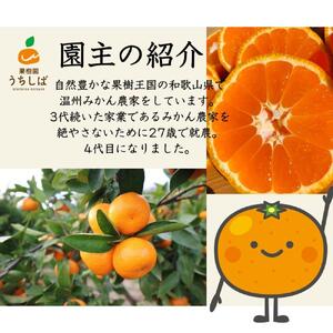 和歌山県産 濃厚な甘さ 完熟有田みかん 3kg 農家直送