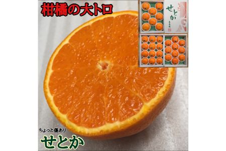 【2625-0044】ちょっと傷あり『柑橘の大トロ』 ハウスせとか8~12玉入【南泰園】