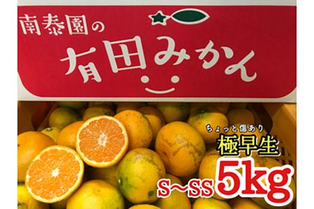 【2625-0061】ちょっと傷あり【極早生・有田みかん】SまたはSSサイズ/約5kg【南泰園】