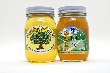 【2625-0080】【限定20セット】ありだみかん蜂蜜 ありだ里山の蜂蜜