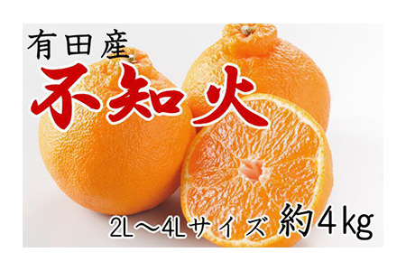 【2625-0102】【限定50セット】【産直】有田の不知火約4kg(12玉~16玉おまかせ)