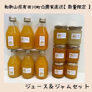 ［お中元］数量限定！店主にお任せ 農家直送の無添加の柑橘ジュース＆ジャムセット ［2026年7月1日～8月5日ごろ順次発送］