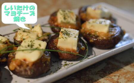 原木生しいたけ約700g 和歌山有田産 ★2025年11月下旬頃より順次発送