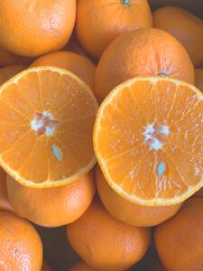 麗紅柑(れいこう)赤秀品 S~2Lサイズ 3kg