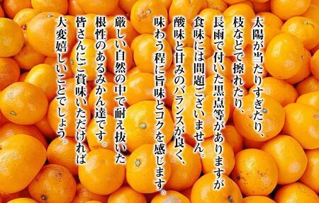 みかん 小玉 有田みかん 約2.3kg  2Sサイズ以下 秀品 優品 混合 家庭用