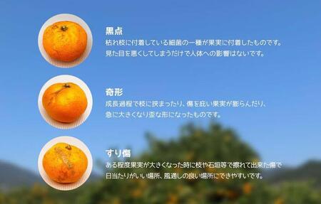 みかん 小玉 有田みかん 約2.3kg  2Sサイズ以下 秀品 優品 混合 家庭用