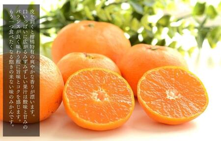 ［先行予約］熟成 みかん 箱込2.5kg ( 内容量 2.3kg ) SMLサイズのいずれか 秀品 優品 混合 和歌山県産 産地直送 贈答用 ［みかんの会］