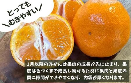 ［先行予約］熟成 みかん 箱込2.5kg ( 内容量 2.3kg ) SMLサイズのいずれか 秀品 優品 混合 和歌山県産 産地直送 贈答用 ［みかんの会］