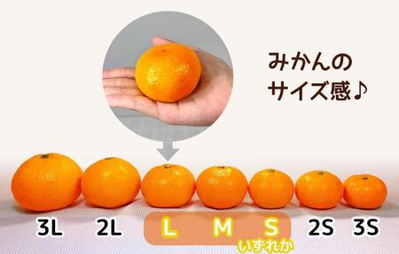 ［先行予約］熟成 みかん 箱込2.5kg ( 内容量 2.3kg ) SMLサイズのいずれか 秀品 優品 混合 和歌山県産 産地直送 贈答用 ［みかんの会］