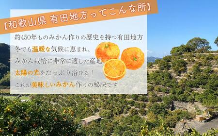 はじめまして 有田みかん  お試し 2kg 和歌山県産 混サイズ ORYY推奨 【先行予約】