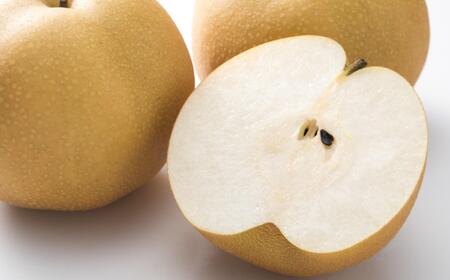 【産直】和歌山有田産の梨約2kg(品種おまかせ)★2026年8月上旬頃より順次発送