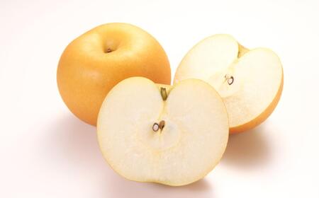 【産直】和歌山有田産の梨約2kg(品種おまかせ)★2026年8月上旬頃より順次発送